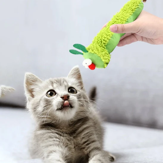 jouet chat | Chenille Herbacée
