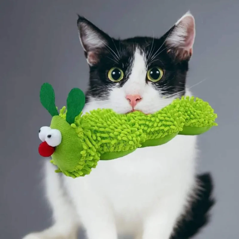 jouet chat | Chenille Herbacée