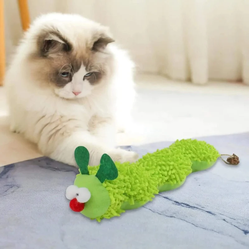 jouet chat | Chenille Herbacée