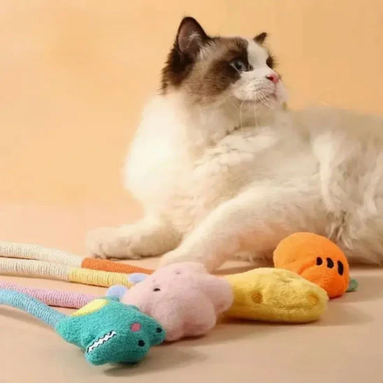 jouet chat | Doudou Corde Dentition