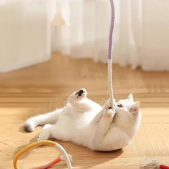 jouet chat | Doudou Corde Dentition
