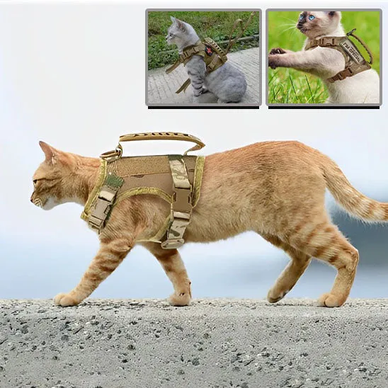 Harnais pour chat | ExploSécure