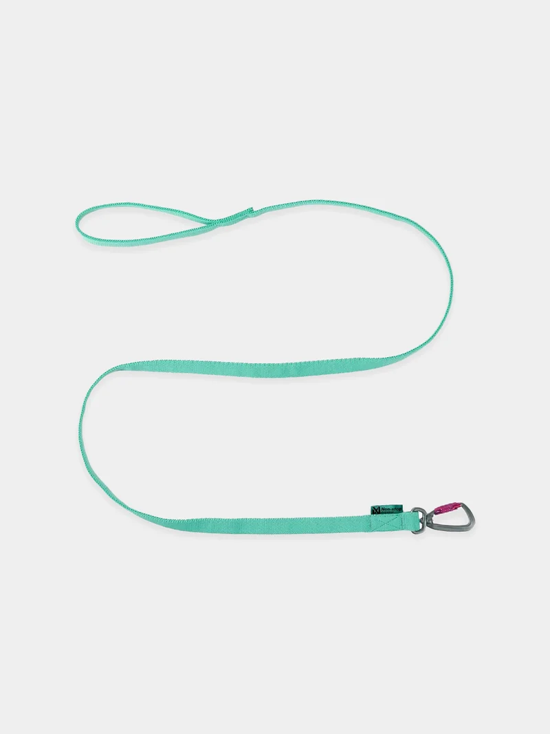 Laisse pour chien Bungee Leash Aqua - Non-Stop Dogwear