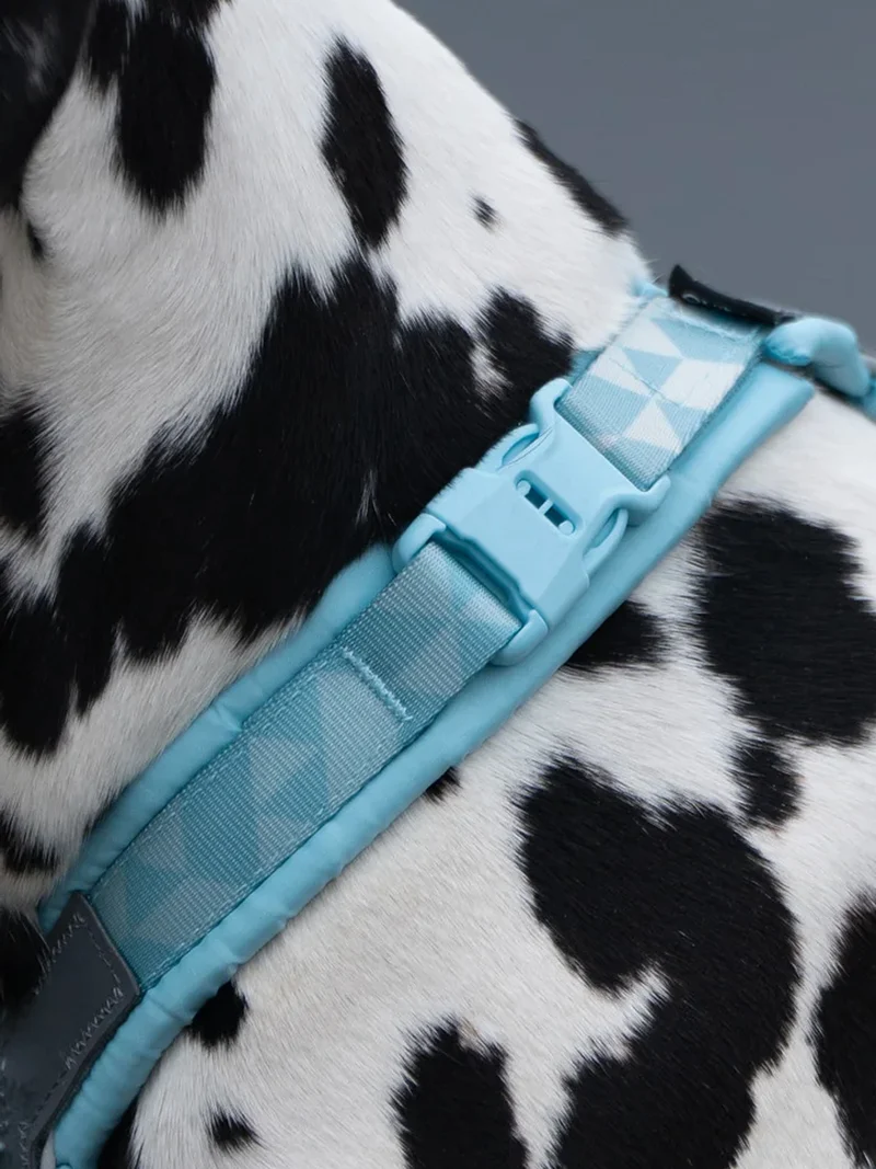 Harnais pour chien - Trekking Line Harness CLIP'N - Ice Blue