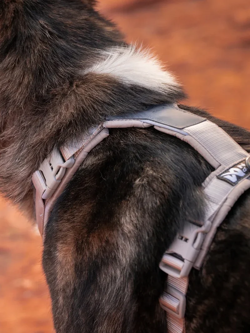 Harnais pour chien - Trekking Line Harness CLIP'N - Sable