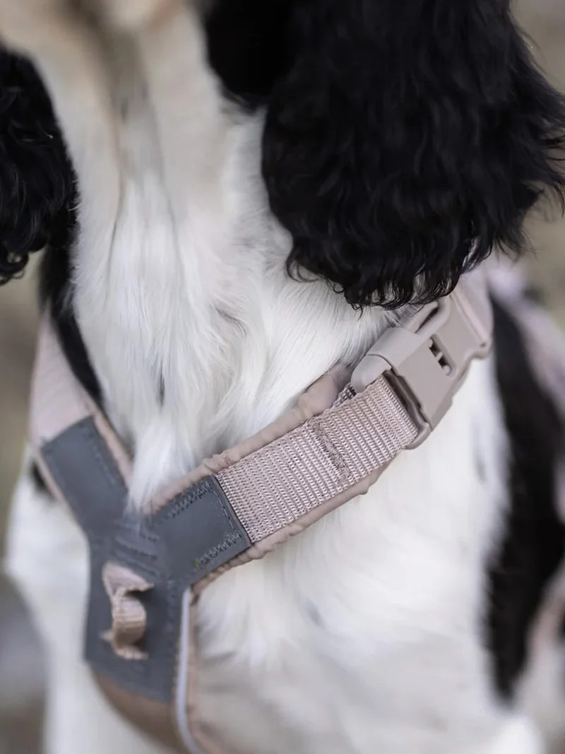 Harnais pour chien - Trekking Line Harness CLIP'N - Sable