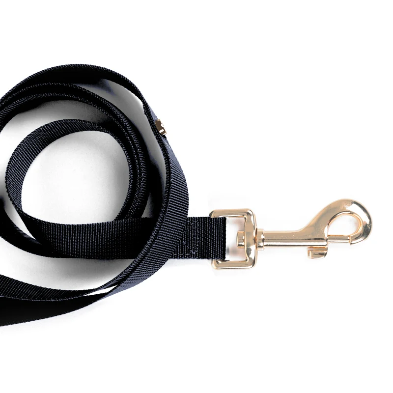 Laisse chien Lota sangle marine dorée - Milk and Pepper