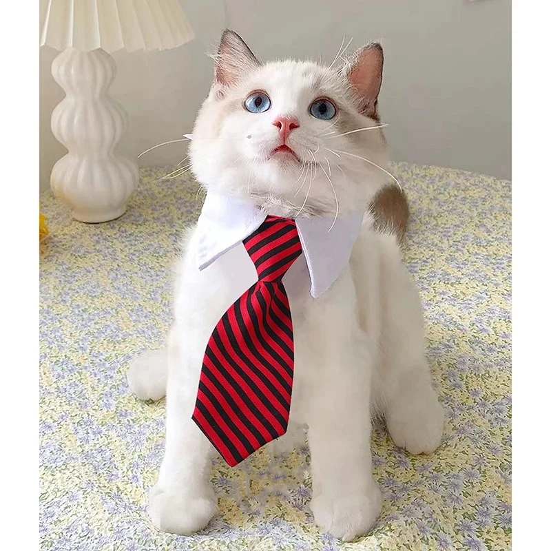 Cravate pour chat