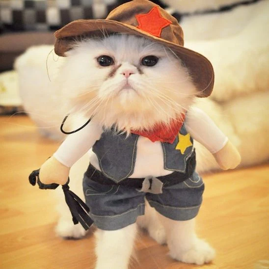 Déguisement pour Chat - Cow-boy