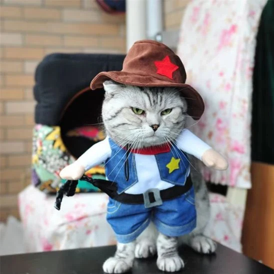 Déguisement pour Chat - Cow-boy