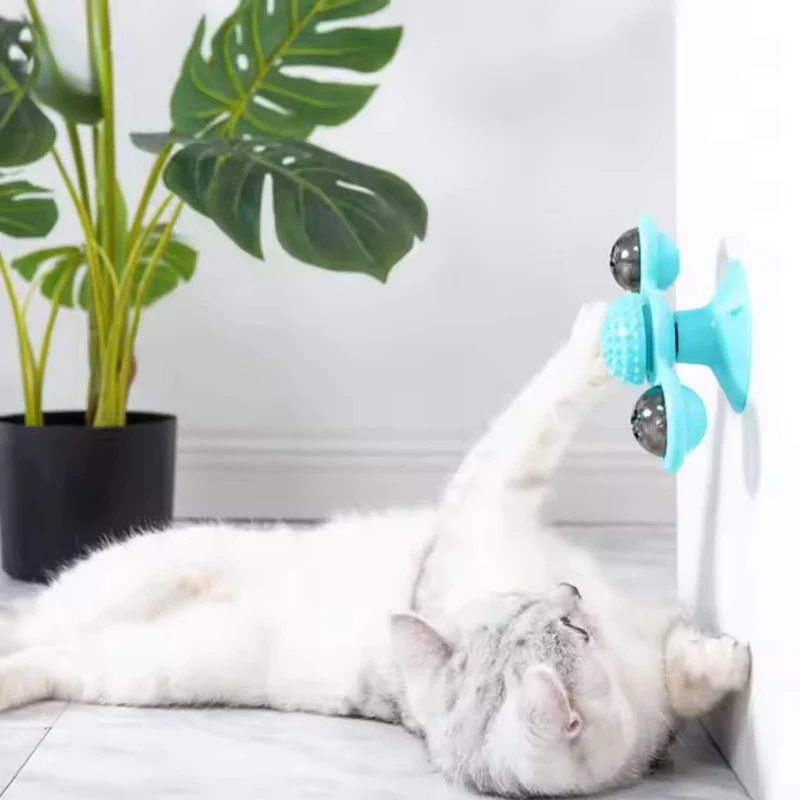 jeu interactif chat | Tourniquet
