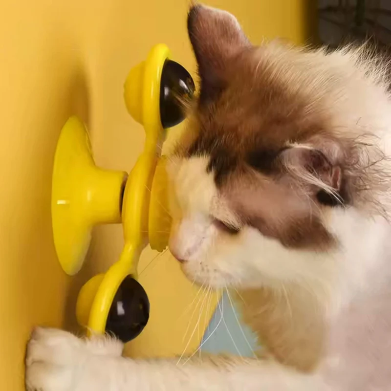 jeu interactif chat | Tourniquet