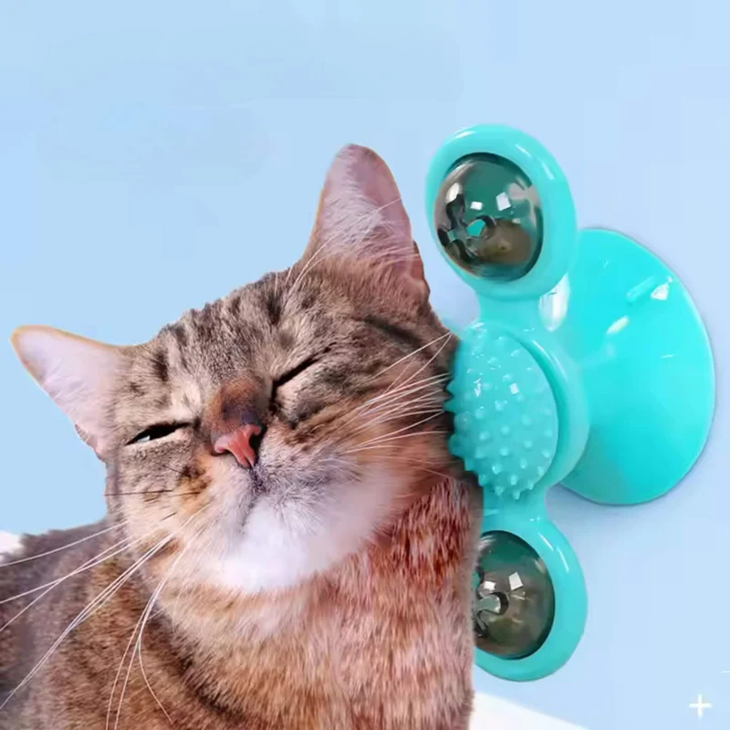 jeu interactif chat | Tourniquet