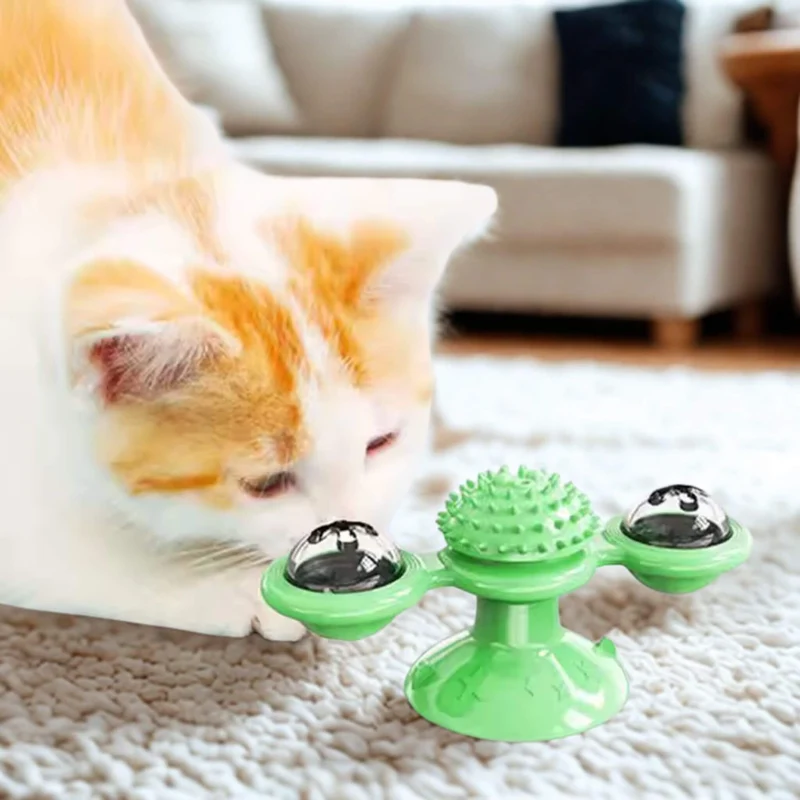 jeu interactif chat | Tourniquet
