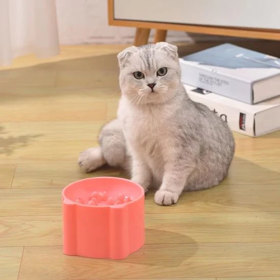 Gamelle anti glouton chat - Ergo™