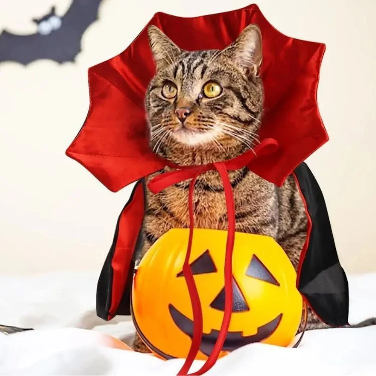Déguisement pour chat | Draco