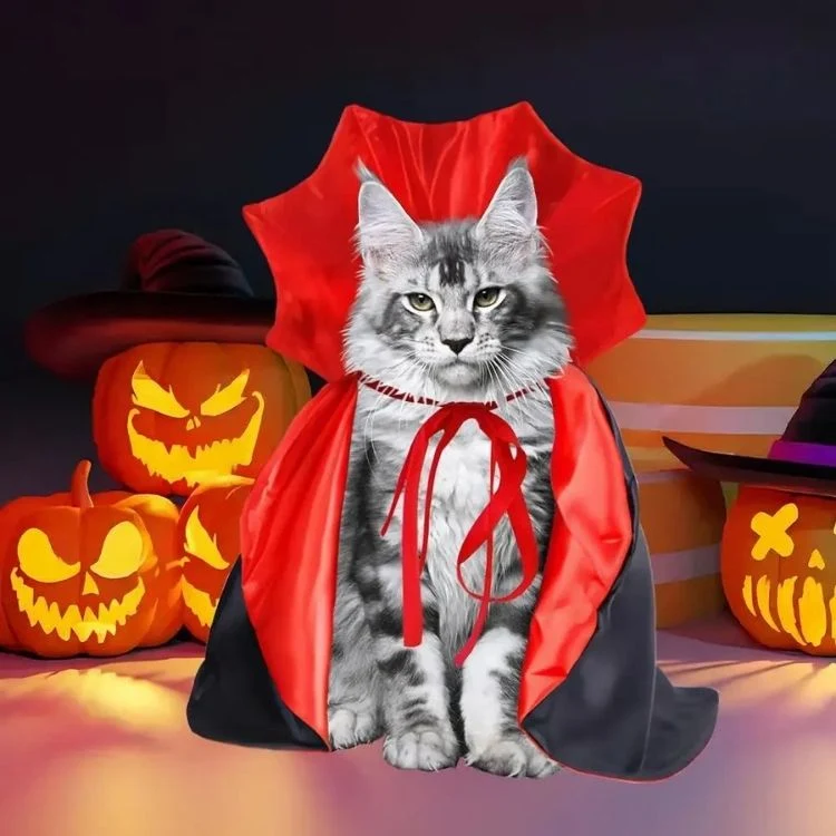 Déguisement pour chat | Draco