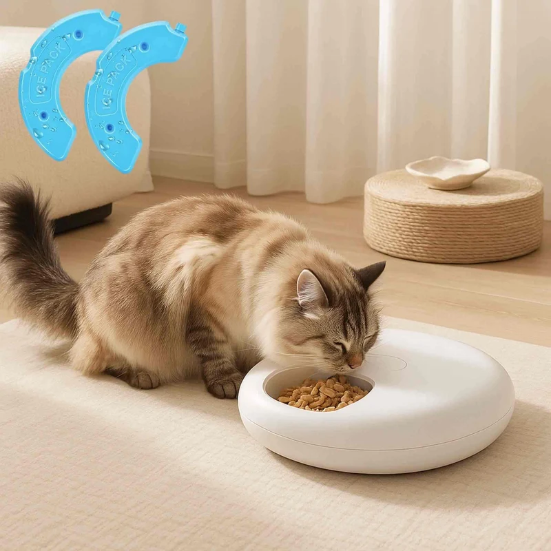 DISTRIBUTEUR DE PATEE POUR CHAT | Gourmet Frigo