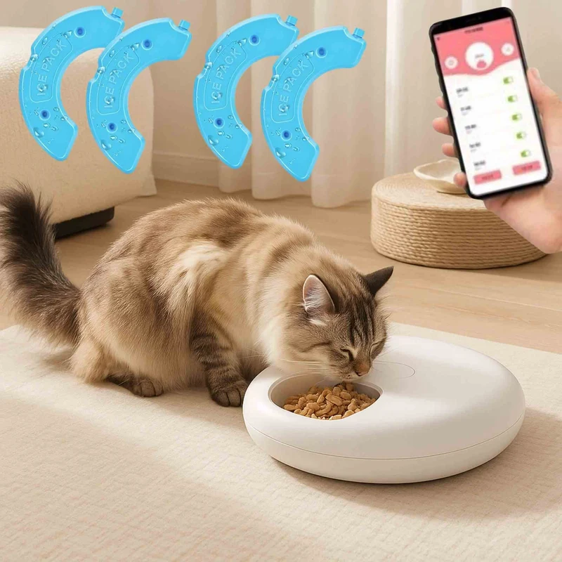 DISTRIBUTEUR DE PATEE POUR CHAT | Gourmet Frigo