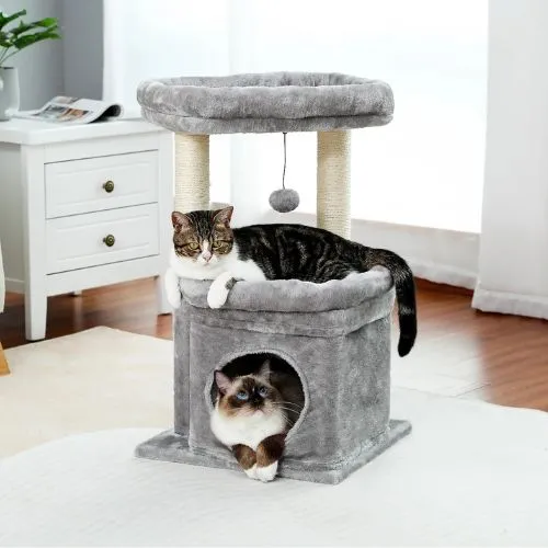 Arbre à chat - Compact 60 cm