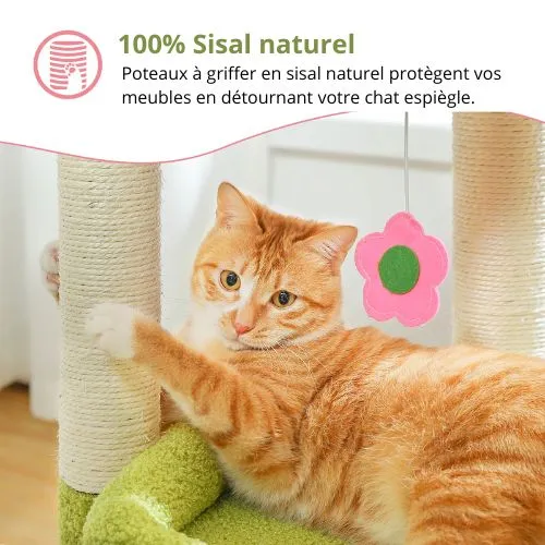 Arbre à chat - Compact 60 cm