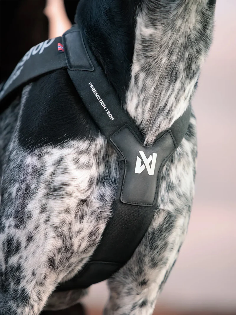 Harnais de traction pour chien - Freemotion Pro - Non-Stop Dogwear