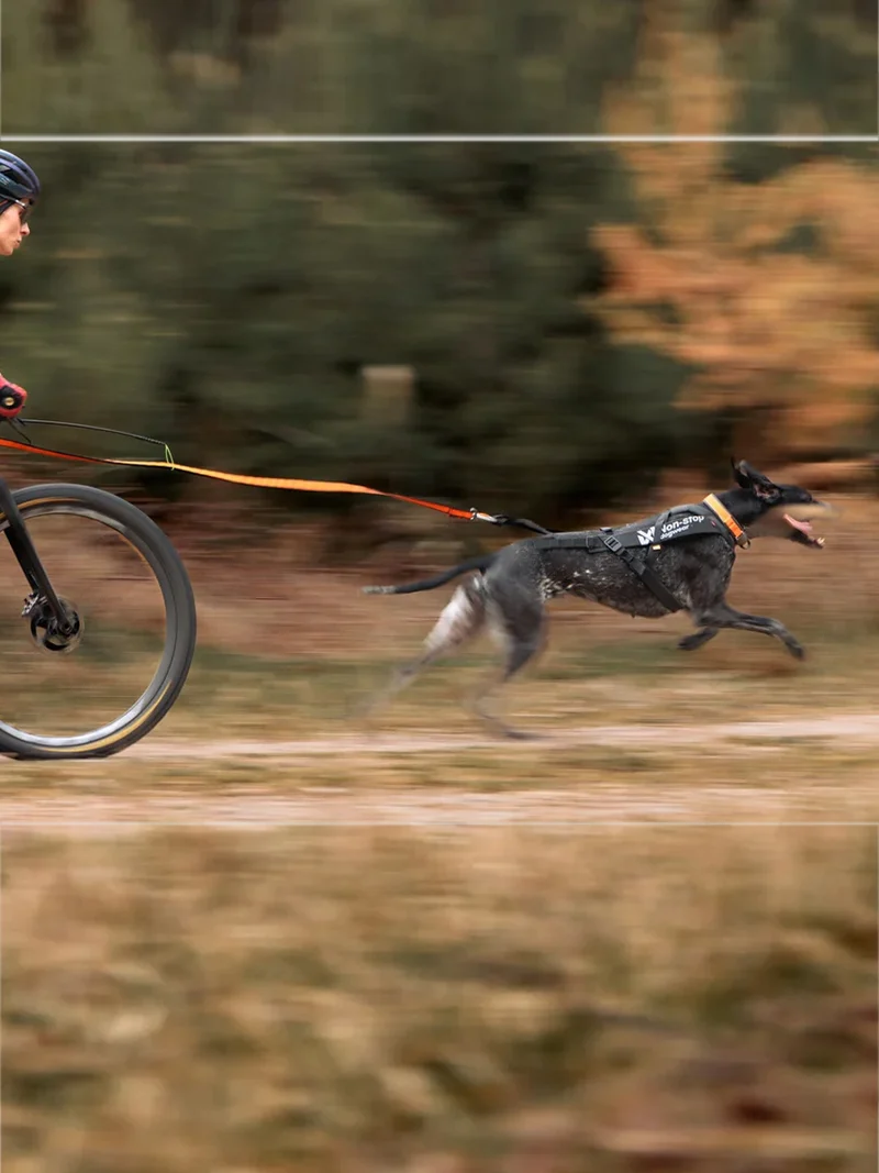 Harnais de traction pour chien - Freemotion Pro - Non-Stop Dogwear