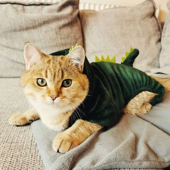 Déguisement pour Chat - Dinosaure