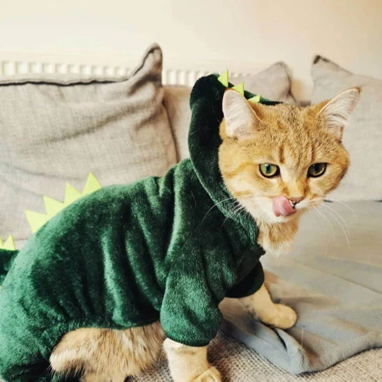 Déguisement pour Chat - Dinosaure