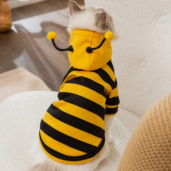 Déguisement pour Chat- Abeille
