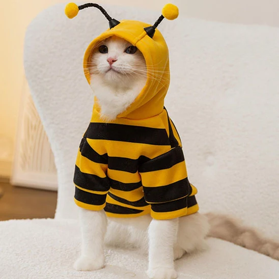 Déguisement pour Chat- Abeille