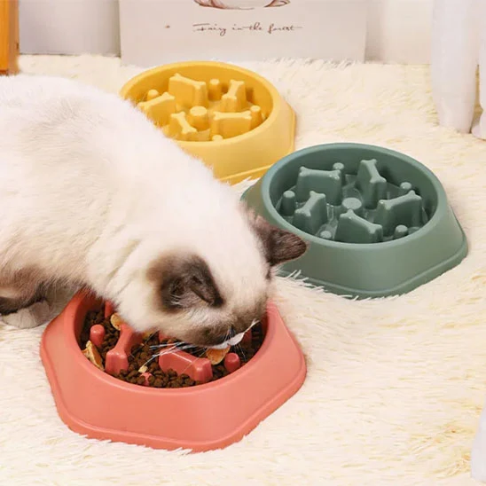 Gamelle anti-glouton chat - Ludique
