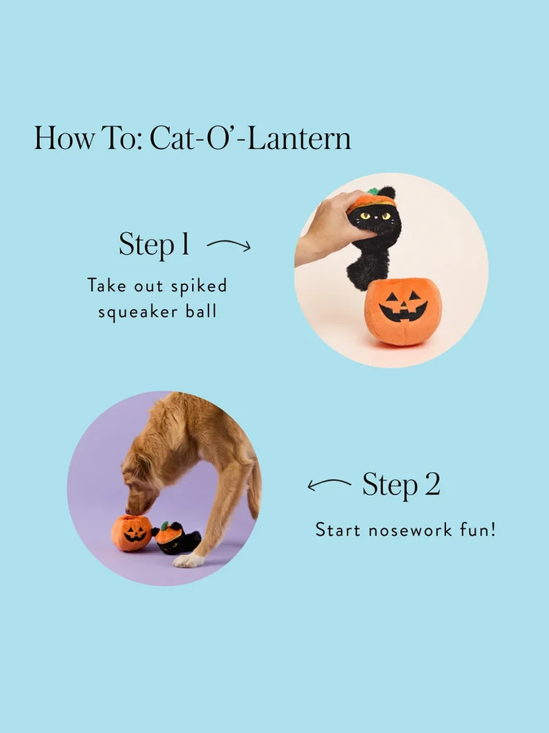 Peluche pour chien - Cat-O'Lantern 🎃🐈‍⬛ - The Foggy Dog