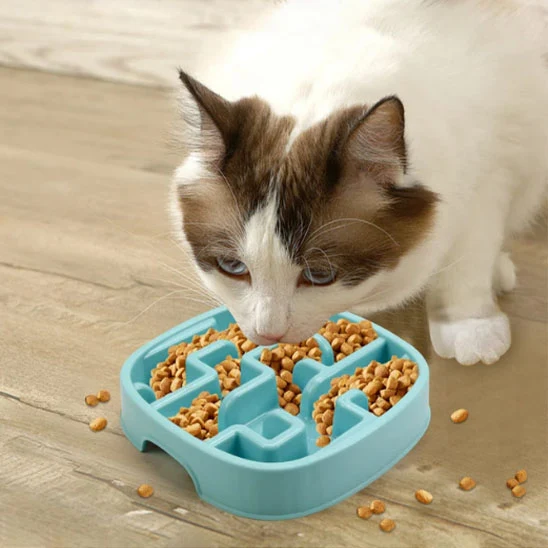 gamelle anti glouton chat | Dégustation Délicate