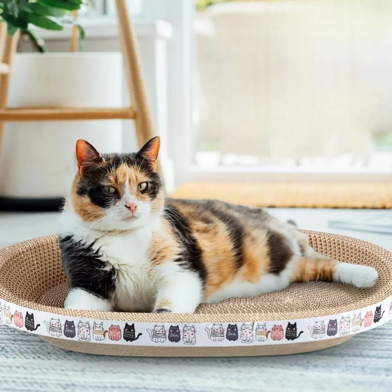 Griffoir Chat - Carton indestructible - Scratchbed