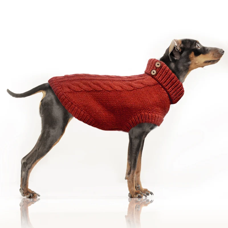 Pull torsade Duncan pour chien - Milk&Pepper