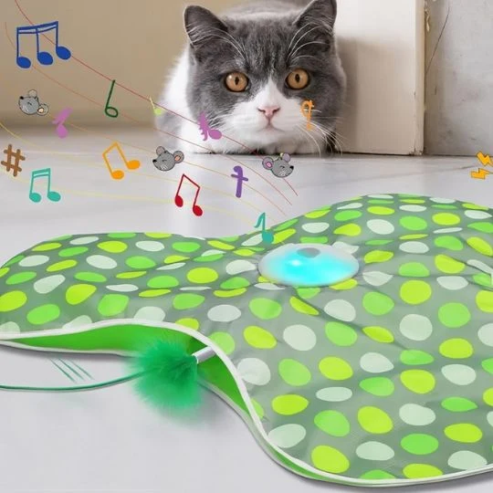 Jouet chat - Tapis interactif cache-cache
