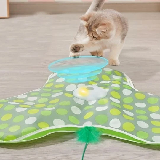 Jouet chat - Tapis interactif cache-cache