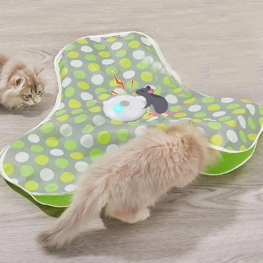 Jouet chat - Tapis interactif cache-cache