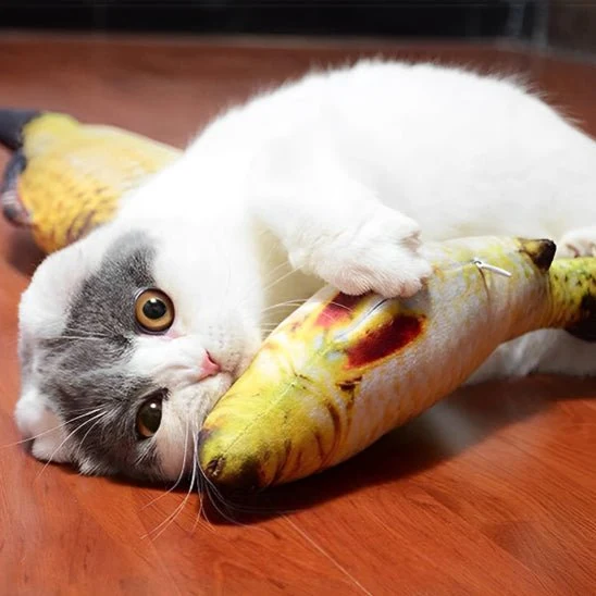 Jouet pour chat - Poisson interactif