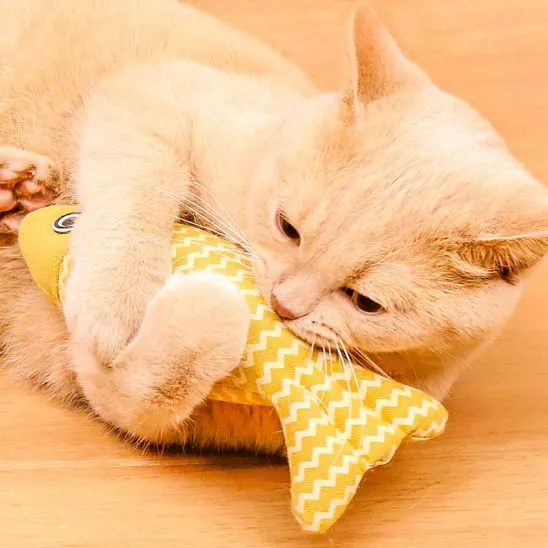 Jouet pour chat - Forme de poisson