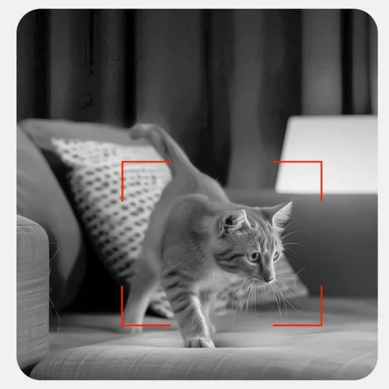 Distributeur croquettes chat - WiFi caméra 3L