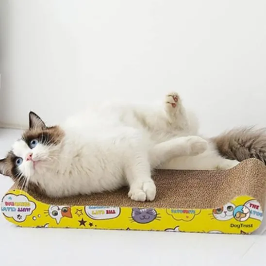 Griffoir en carton pour chat - Planche à gratter - Maru
