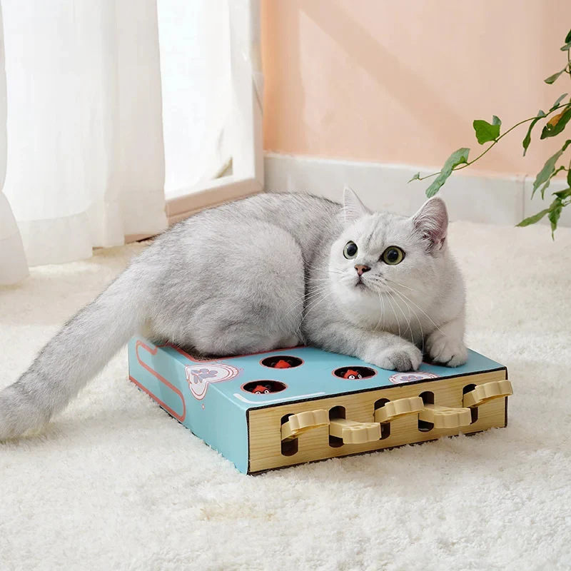 Griffoir chat carton - Planche avec jouet - Chasse & Griffe™
