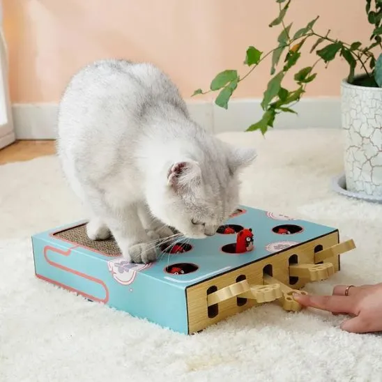 Griffoir chat carton - Planche avec jouet - Chasse & Griffe™