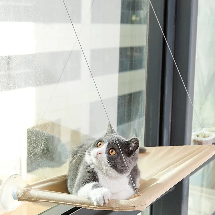 hamac chat - CatUp