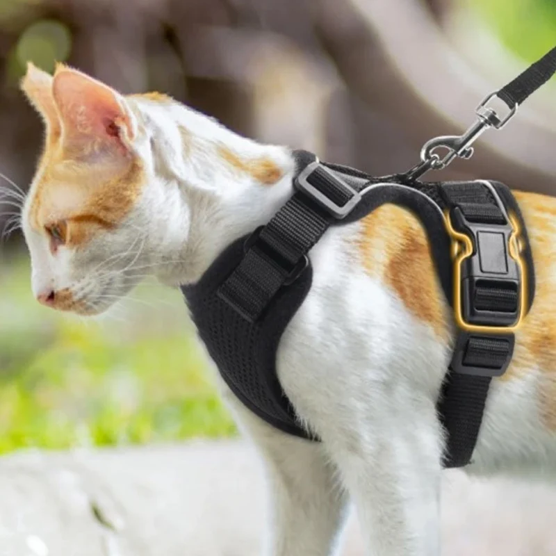 harnais chat - SecureCat™