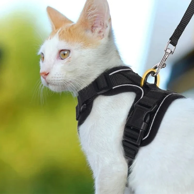 harnais chat - SecureCat™