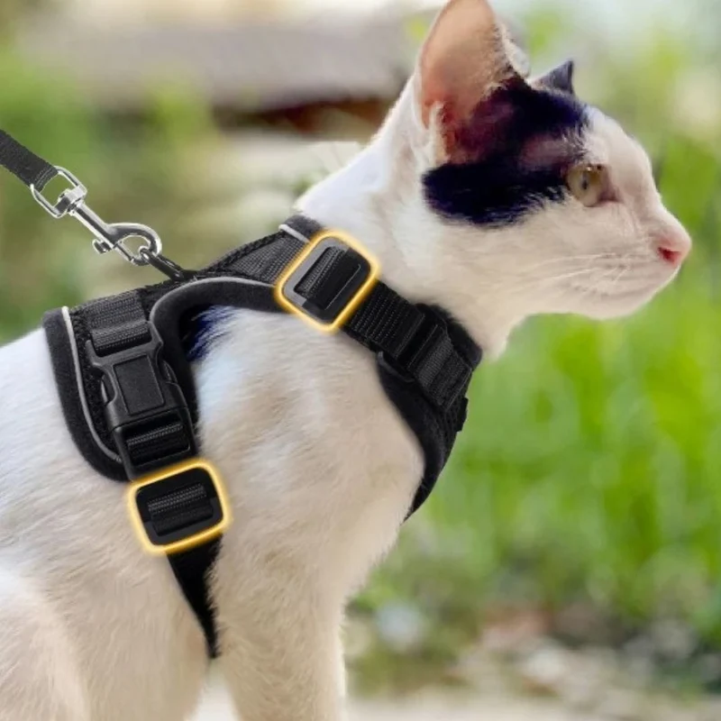 harnais chat - SecureCat™