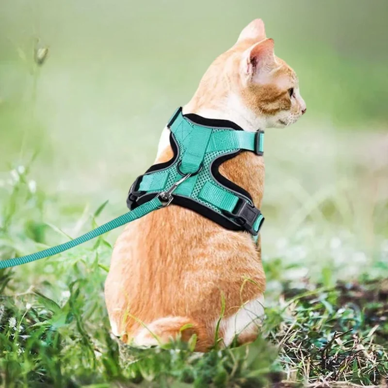 harnais chat - SecureCat™